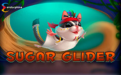 Sugar Glider
